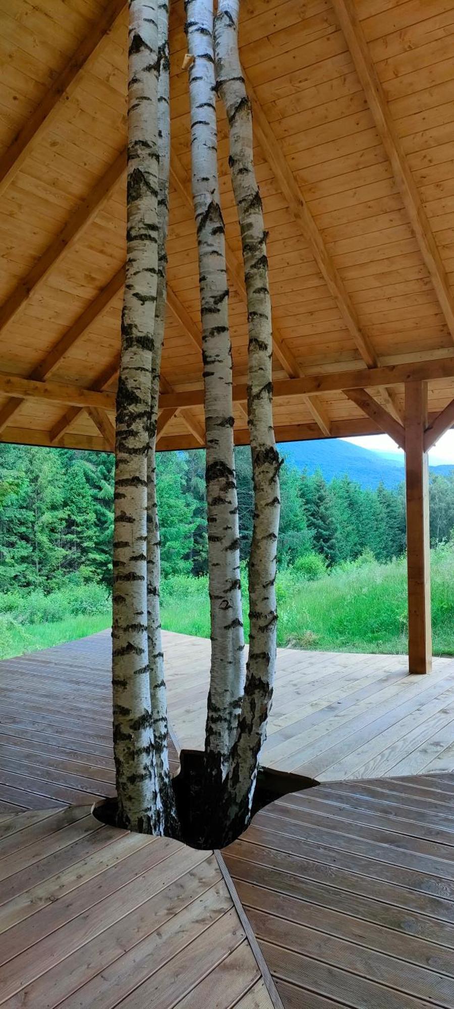 Pod Wielka Zalesiona Gora Wetlina Dış mekan fotoğraf